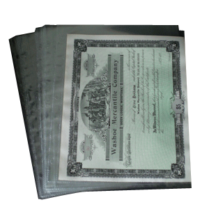 1 Pocket Archival Polypropylene Pages, Clear