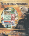 American Wildlife Collection