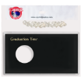 Graduation Year (Silver Eagle $)