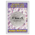 ASE  Frosty Case - Happy Birthday