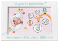 Babys First Year Coin & Photo Frame (Girl)