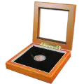 Guardhouse 5x5 Glass-top Wood Display Box - Holds Small Sized Capsule