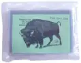 Post Card Holder - 100 pack
