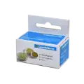 19.5mm - Coin Capsules (pack of 10)