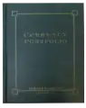 Currency Portfolio - Green