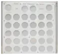 Complete Eisenhower Dollar Set (Two Reverses)