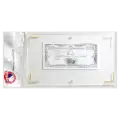 Modern Currency Holder
