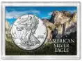 ASE Frosty Case - Mountain Forest