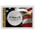 American Silver Eagle Frosty Case