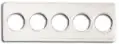 Whitman 2x6 State Quarter Strip 5 Hole -  (25 pack)