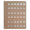 Lincoln Shield Cents With Proof Replacement Page (2022 - 2033)