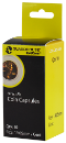 Cent (19mm) Direct-Fit Coin Capsules - 10 Pack