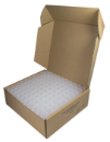 Guardhouse Quarter Coin Tube-100 Pack