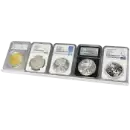 5 Slab Certified Coin Easel Display