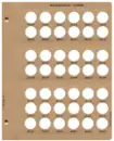 Roosevelt Dimes Replacement Page (2005 - 2026)
