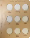 American Silver Eagle Replacement Page 3