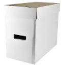 Graded Comic Storage Box