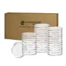 XL Ring-Fit Evocore Coin Holders. 250 Count Box.