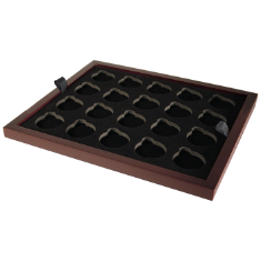 Medium Capsule Tray - Holds 20 Round Medium Sized Guardhouse Coin Capsules