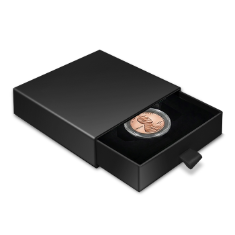Slider Coin Capsule Box - Small Capsule