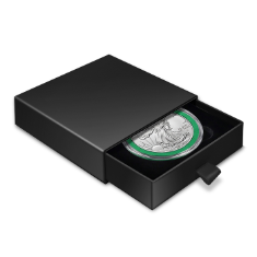 Slider Coin Capsule Boxes - XL Capsule