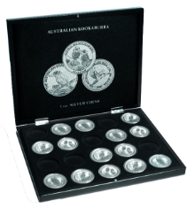 Collector Box - Kookaburra