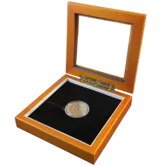Guardhouse 5x5 Glass-top Wood Display Box - Holds Medium Sized Capsule