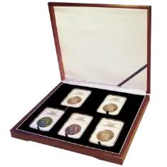 Universal Wood Display Box - 5 Slabs