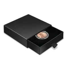 Slider Coin Capsule Box - Small Capsule