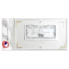 Modern Currency Holder