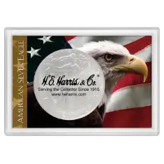 American Silver Eagle Frosty Case