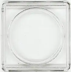 Large Dollar Snaplock (25 pack)