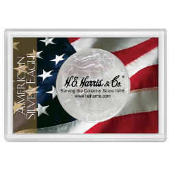 American Silver Eagle Frosty Case with Flag
