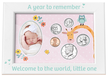 Babys First Year Coin & Photo Frame (Girl)
