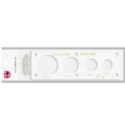 Gold Type Set 20, 10, 5, & 2.50