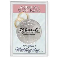 ASE  Frosty Case - Wedding Day
