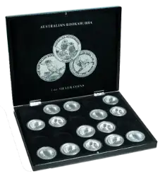 Collector Box - Kookaburra