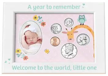 Babys First Year Coin & Photo Frame (Girl)