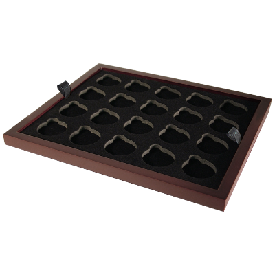 Medium Capsule Tray - Holds 20 Round Medium Sized Guardhouse Coin Capsules