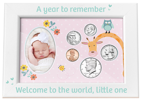 Babys First Year Coin & Photo Frame (Girl)