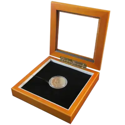 Guardhouse 5x5 Glass-top Wood Display Box - Holds Medium Sized Capsule