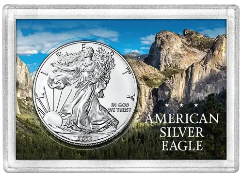 ASE Frosty Case - Mountain Forest