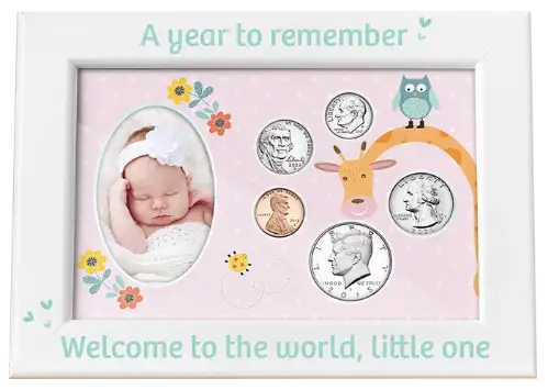Babys First Year Coin & Photo Frame (Girl)
