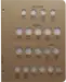 US Type (Major coins from 1800)
