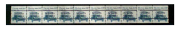 260x25 Showgard Blocks, Strips and Souvenir Sheets (Black)