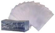 Fractional Currency Sleeve - 100 pack
