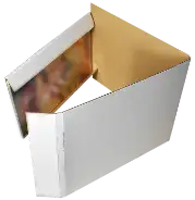Guardhouse Current Comic Book Mailer
