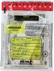 Tamper Evident 9x12 Clear "Deal" Bag - 100/pack