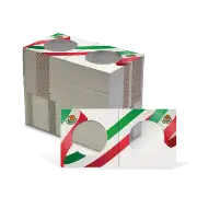 2x2 Paper Coin Holders for Half/Small Dollar/Quarter - Mexican Flag