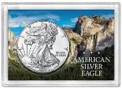 ASE Frosty Case - Mountain Forest